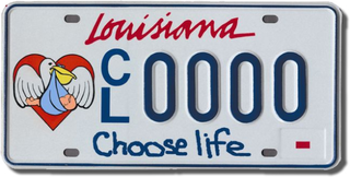 Illustration for article titled Crappy Drawing the Standard for "Choose Life" License Plates